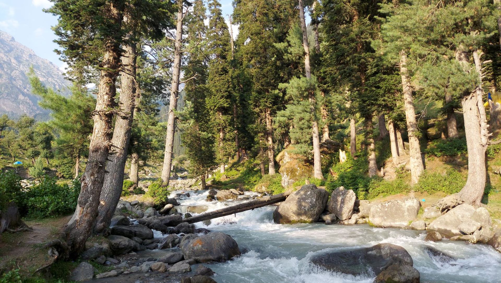 Betaab Valley meadow and stream near Pahalgam