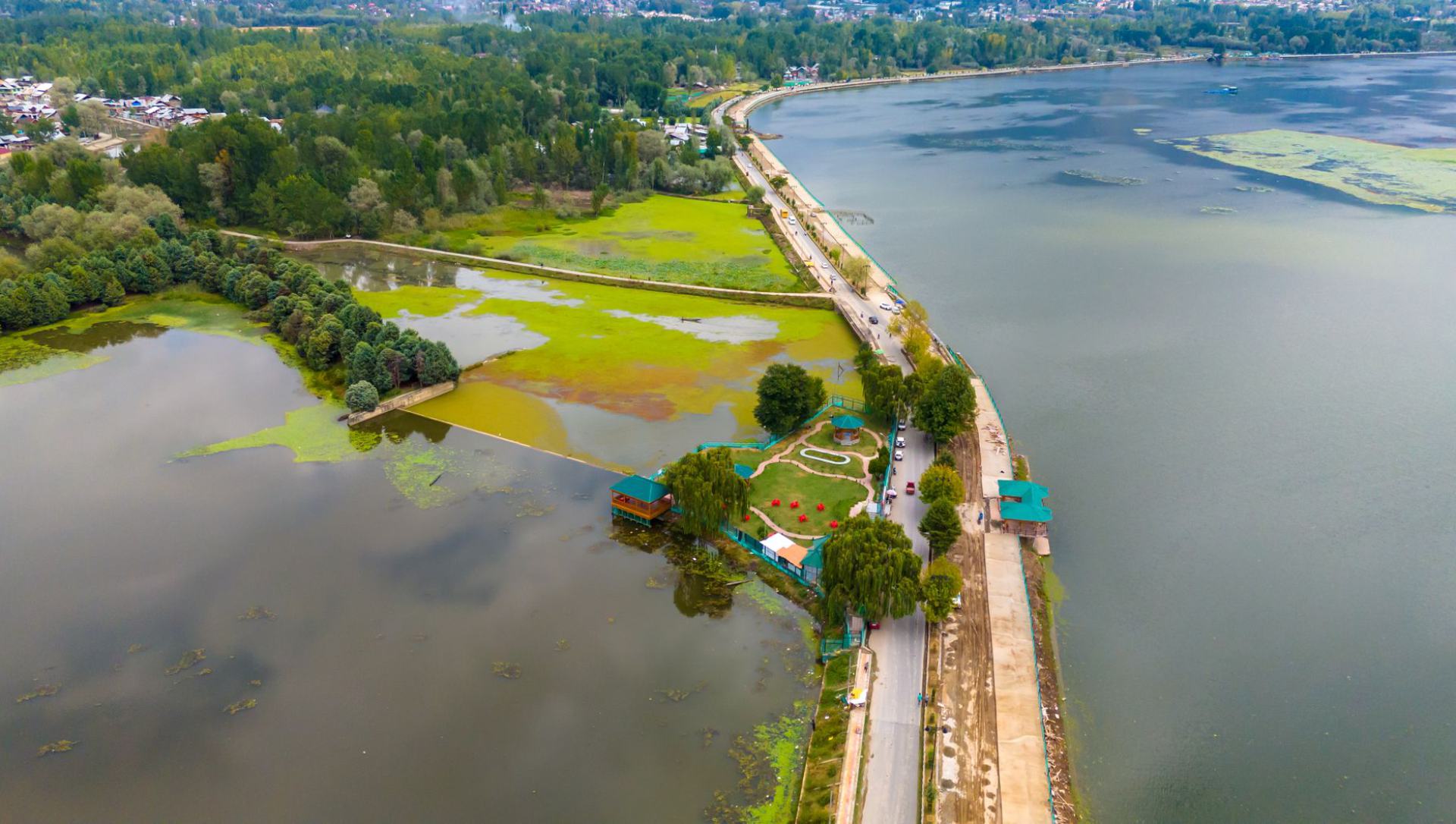 Manasbal Lake with lotus blooms and quiet hill views