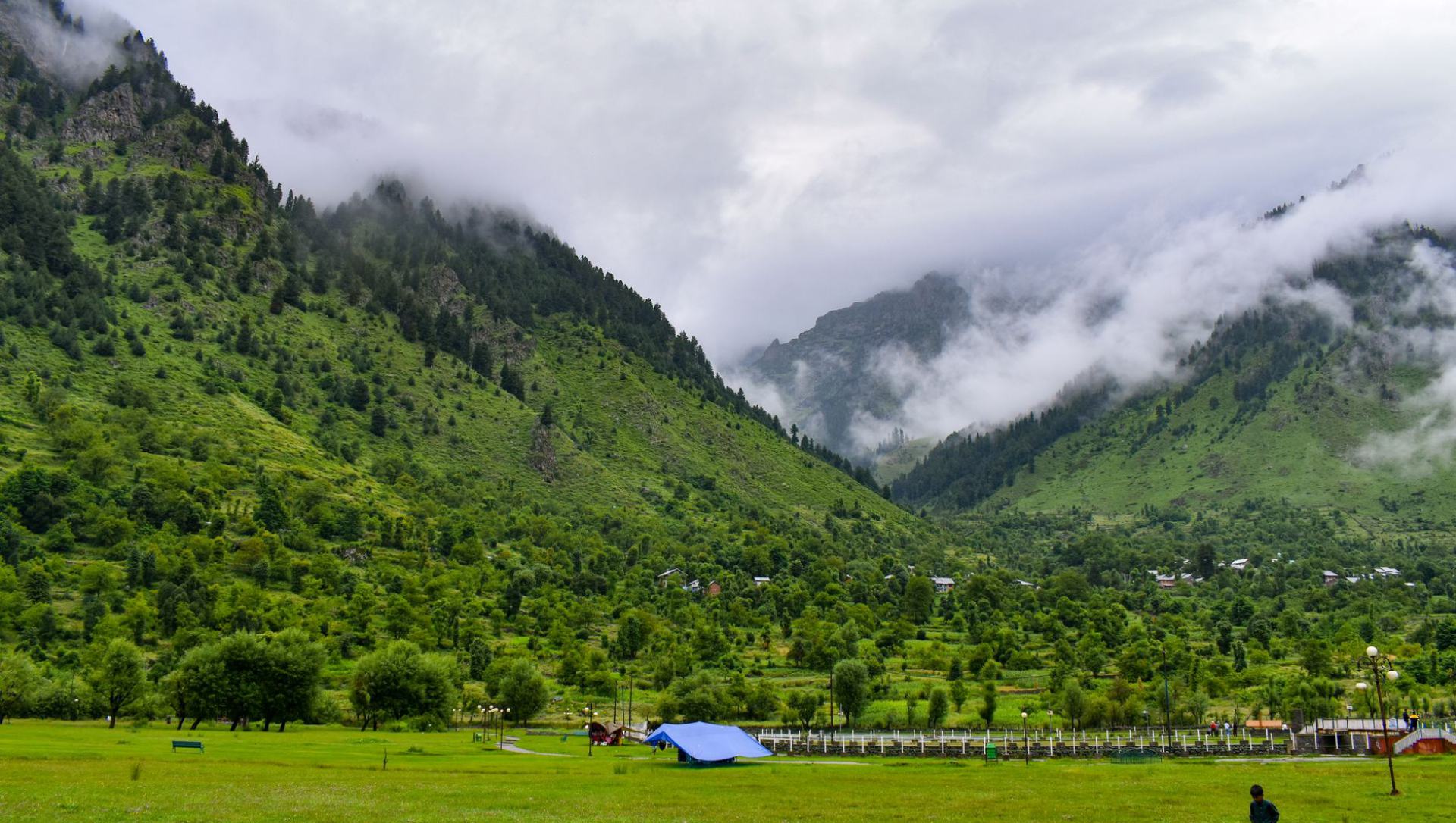 Aru Valley meadows, pine forests, and mountain views