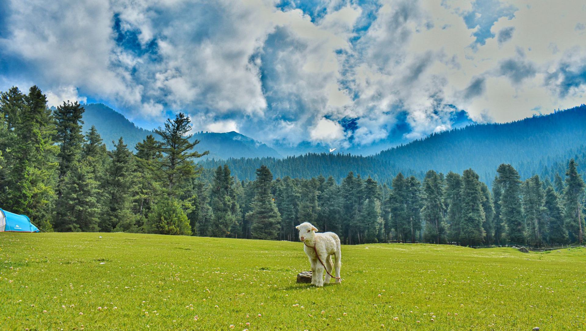 Doodhpathri meadows and stream in Kashmir